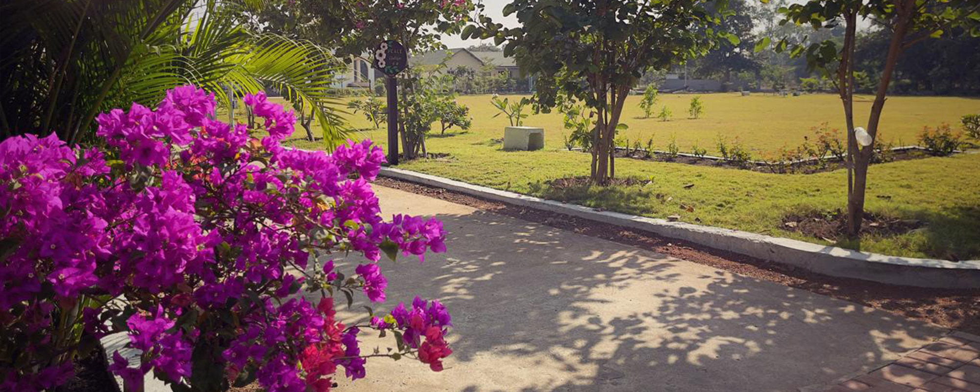 The Life School Bhopal